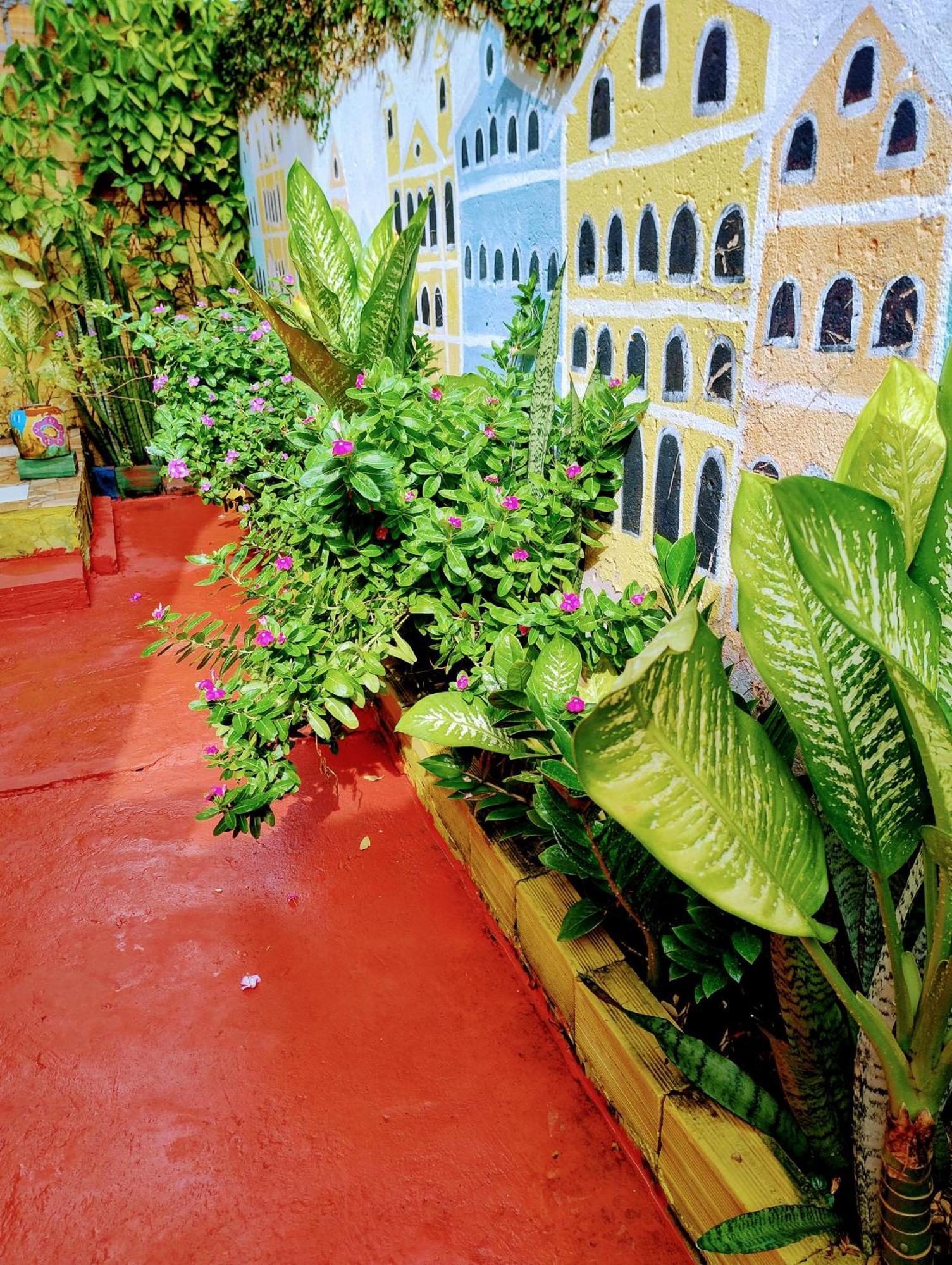 Perto Do Aeroporto De Salvador - Dona Pitanga Hostel Lauro de Freitas Buitenkant foto