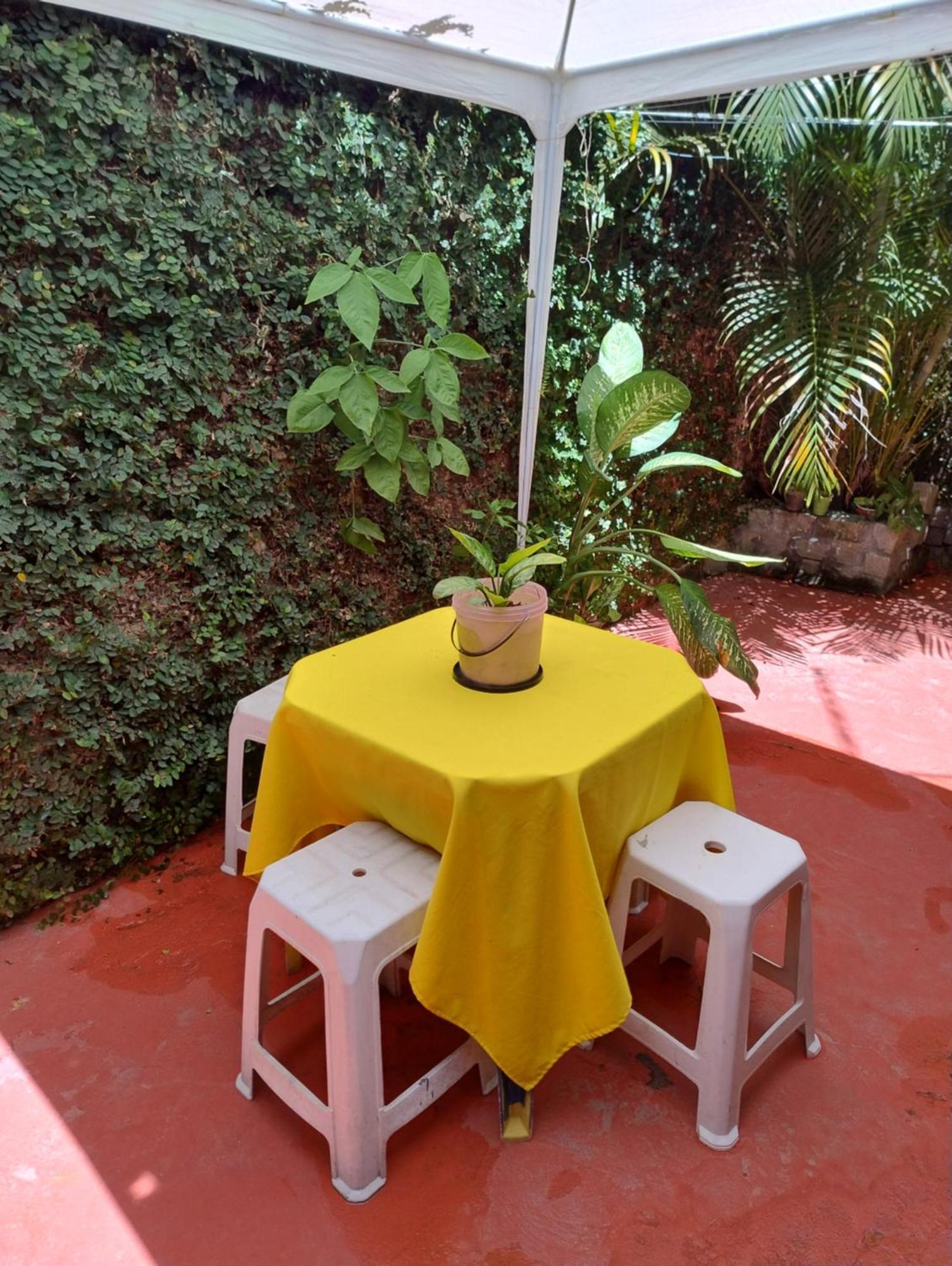 Perto Do Aeroporto De Salvador - Dona Pitanga Hostel Lauro de Freitas Buitenkant foto