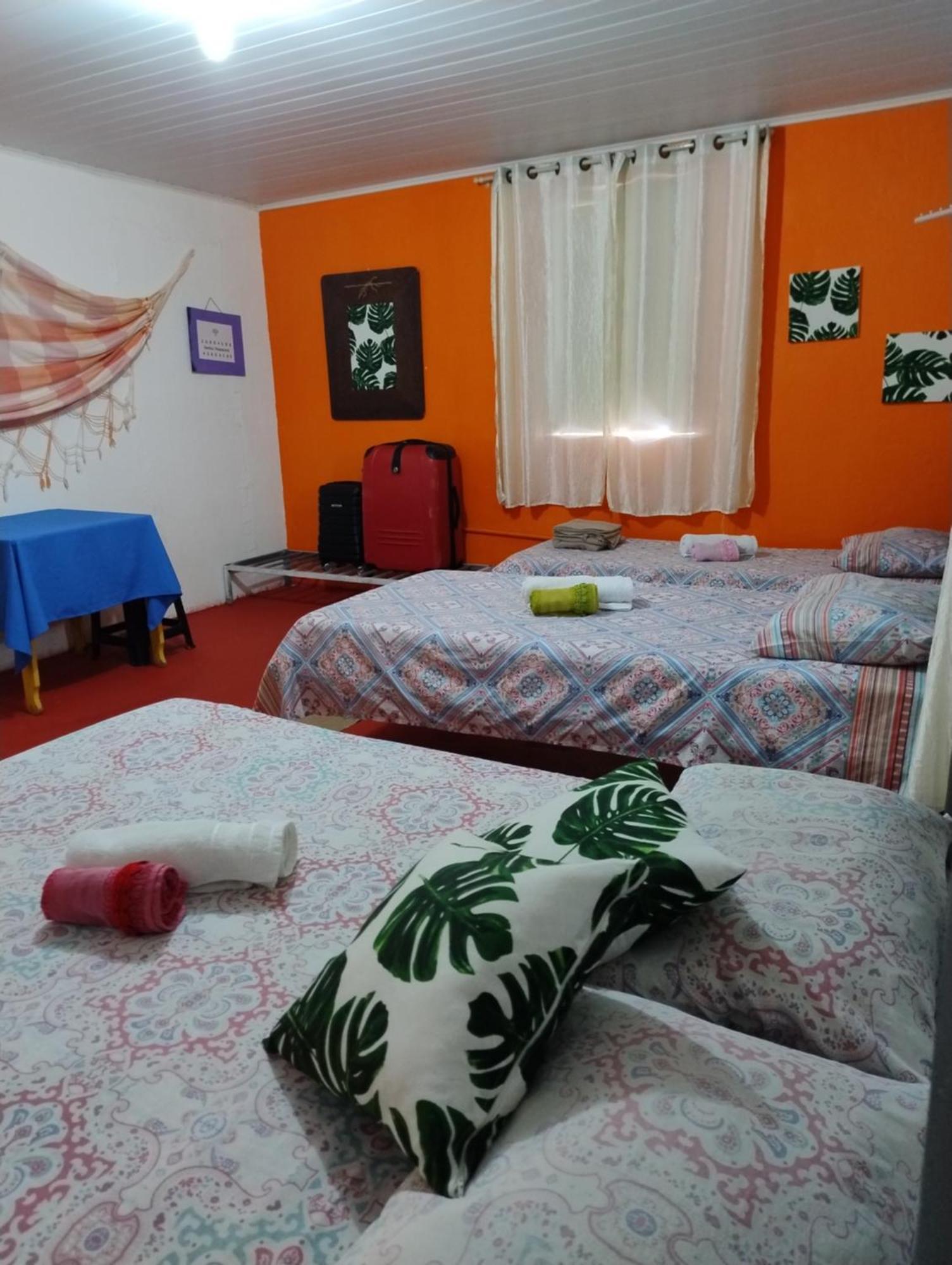 Perto Do Aeroporto De Salvador - Dona Pitanga Hostel Lauro de Freitas Buitenkant foto