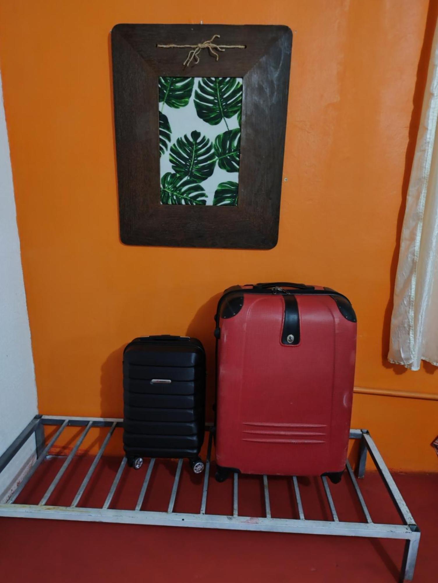 Perto Do Aeroporto De Salvador - Dona Pitanga Hostel Lauro de Freitas Buitenkant foto